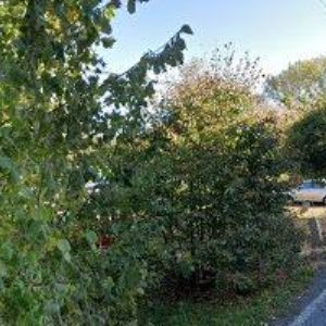 obrazek: avatar DAVÍDEK VLADIMÍR