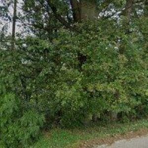 obrazek: avatar LIPRA PORK, a.s.