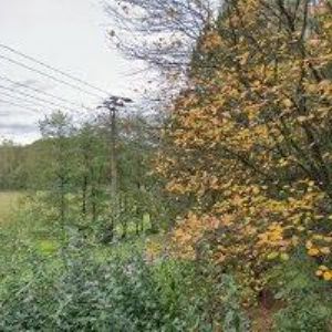 obrazek: avatar VUNDROVÁ SOŇA