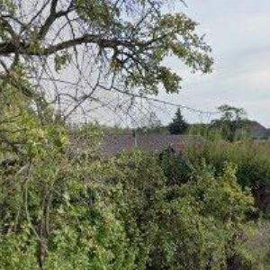 obrazek: avatar D & D ZAHRADNICTVÍ