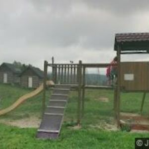 obrazek: avatar JAVORY POLUBNÝ s.r.o.