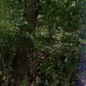 obrazek: avatar GRASSAGRO s.r.o.