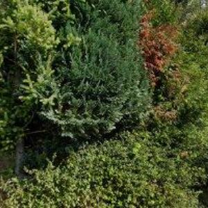 obrazek: avatar ZEMĚDĚLSKÁ FARMA JÍLOVÉ s.r.o.