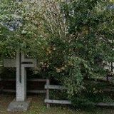 KONĚ V JIZERKÁCH s.r.o.