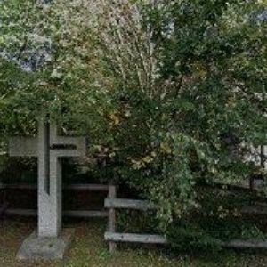 obrazek: avatar KONĚ V JIZERKÁCH s.r.o.