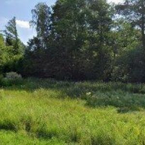 obrazek: avatar KRAKONOŠOVO ZAHRADNICTVÍ