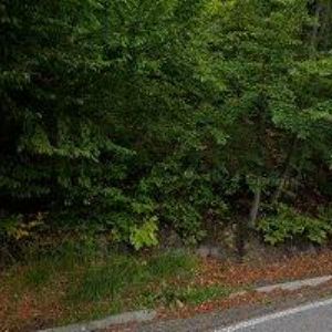 obrazek: avatar MÁRK JIŘÍ