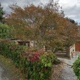 SLUKA LADISLAV TRUHLÁŘSTVÍ-RYBÁRNA