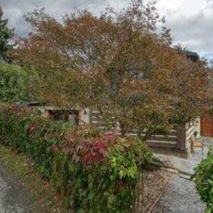 obrazek: avatar SLUKA LADISLAV TRUHLÁŘSTVÍ-RYBÁRNA