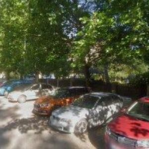 obrazek: avatar ČESKÝ KYNOLOGICKÝ SVAZ Semily