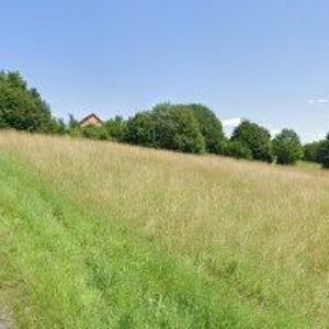 obrazek: avatar ČESKÝ KYNOLOGICKÝ SVAZ Liberec-ARNEMA