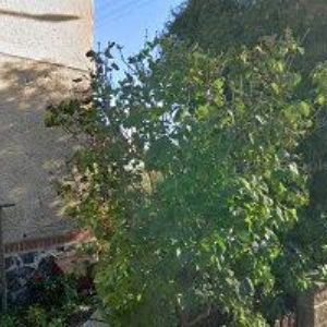 obrazek: avatar CÝRUS TOMÁŠ-PRÁCE V ZAHRADĚ I KORUNĚ