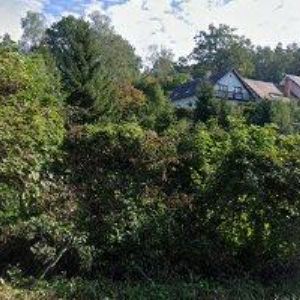 obrazek: avatar TOMSA JOSEF