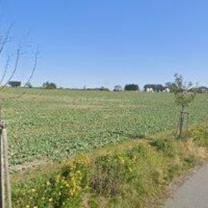 obrazek: avatar ČESKÝ KYNOLOGICKÝ SVAZ Žďárek