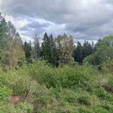 ČESKÝ KYNOLOGICKÝ SVAZ Smržovka