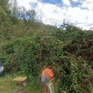 obrazek: avatar ČESKÝ KYNOLOGICKÝ SVAZ Stráž pod Ralskem