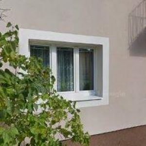 obrazek: avatar ČESKÝ KYNOLOGICKÝ SVAZ Vratislavice nad Nisou