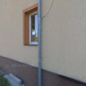 obrazek: avatar PSÍ SALON BOO