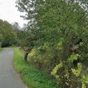 obrazek: avatar STATEK LETAŘOVICE s.r.o.