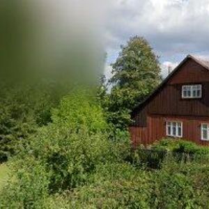 obrazek: avatar PETRŽILKA ANTONÍN