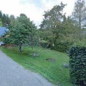 obrazek: avatar MAXLES