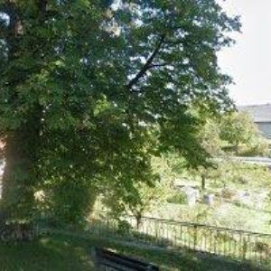 obrazek: avatar LOUDOVÁ HANA-KOVORYTECTVÍ