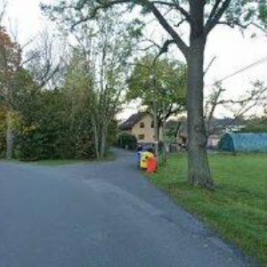 obrazek: avatar AZYL PES KRÁSNÝ LES o.s.