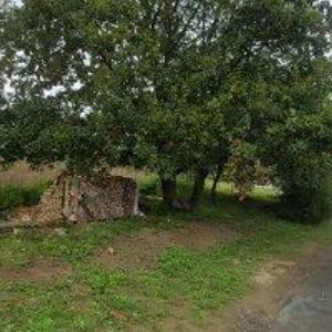 obrazek: avatar VETERINA MVDr. ČAČKOVÁ s.r.o.