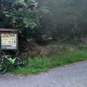 obrazek: avatar LES A MED s.r.o.