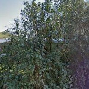 obrazek: avatar VČELAŘSKÁ FARMA TARASOVI