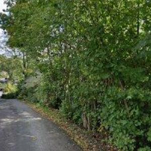 obrazek: avatar FARMA LOUKOV s.r.o.