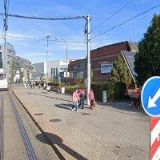 KVĚTINY NA RYBNÍČKU