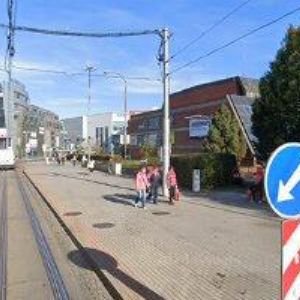 obrazek: avatar KVĚTINY NA RYBNÍČKU