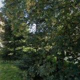 FARMA KALIŠTĚ, s.r.o.