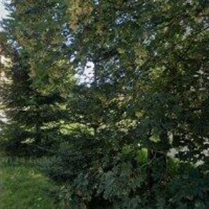 obrazek: avatar FARMA KALIŠTĚ, s.r.o.