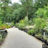 NÁVRHY A REALIZACE ZAHRAD-PARDUBICE-TICHÁ ZAHRADA ŽIVANICE