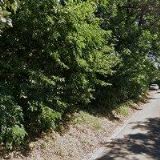 MACAS JOSEF Ing.arch.