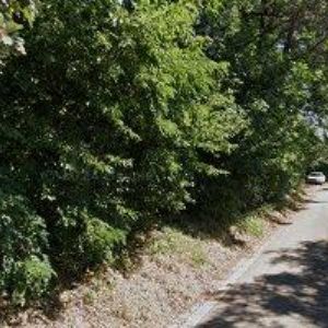 obrazek: avatar MACAS JOSEF Ing.arch.