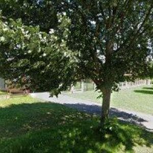 obrazek: avatar MALÍNEK IVAN MVDr.