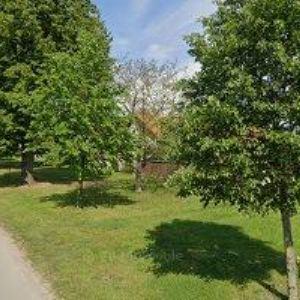 obrazek: avatar ČESKÝ KYNOLOGICKÝ SVAZ Čeperka