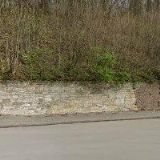 ČESKÝ KYNOLOGICKÝ SVAZ Březová nad Svitavou