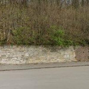 obrazek: avatar ČESKÝ KYNOLOGICKÝ SVAZ Březová nad Svitavou