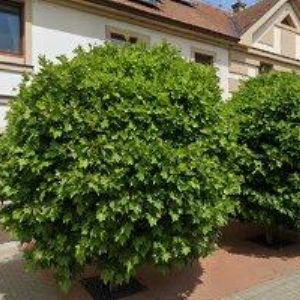 obrazek: avatar ERC s.r.o.