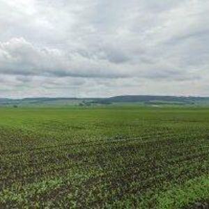 obrazek: avatar MOKUST STARÉ MĚSTO a.s.