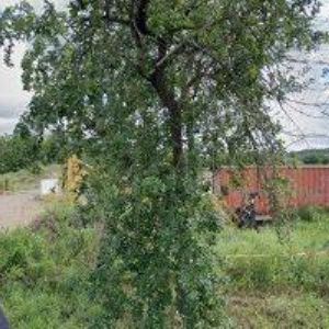 obrazek: avatar ZEMAN ZDENĚK MVDr.-VETERINA PŘELOUČ