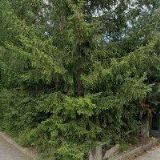 URBANOVÁ PATRICIE-EQUIPAM