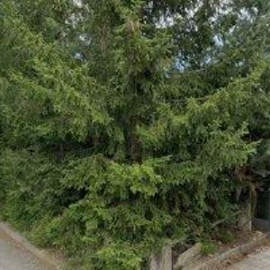 obrazek: avatar URBANOVÁ PATRICIE-EQUIPAM