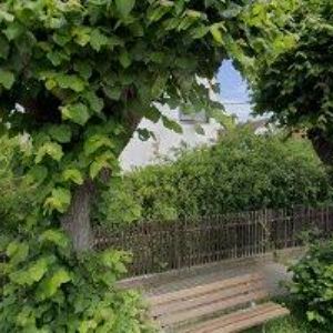 obrazek: avatar ZEDNÍKOVÁ MARIE