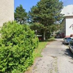 obrazek: avatar GRUND MICHAL