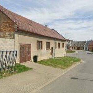 obrazek: avatar STEINER PAVEL